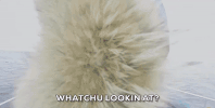 look looking GIF by Red Bull