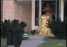dog running GIF by Kate