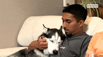 Dog Love GIF by Gogglebox Australia