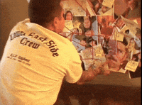 Purenoise GIF by Pure Noise Records