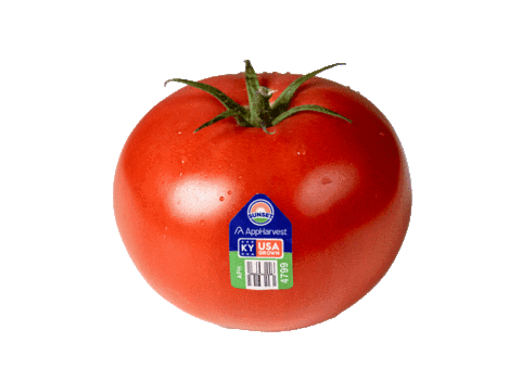 Fruit Tomato Sticker by AppHarvest