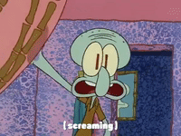 season 1 Naughty Nautical Neighbors GIF by SpongeBob SquarePants