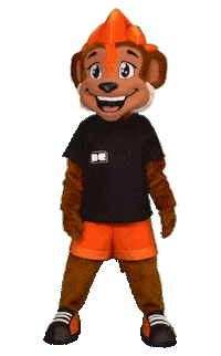 Gymnastics Swipe Up Sticker by DutchGymnasticsKNGU