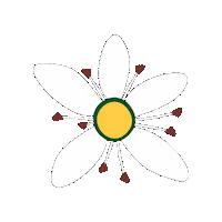 Umbuzeiro Sticker by Irpaa