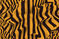 stripes displace GIF by Rational Works