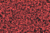 noise glow GIF by Rational Works