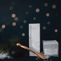 Black Friday Christmas GIF by CreationSkin