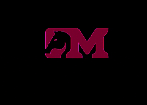 mreiscavalos giphygifmaker cavalos GIF