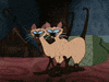 lady and the tramp cat GIF