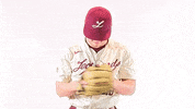 Mark Anderson GIF by Lafayette Leopards