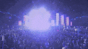 insomniacevents festival trance music festival edc GIF