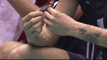 Hungry World Cup GIF by Volleyball World