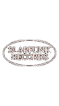 Dj House Sticker by Slapfunk records