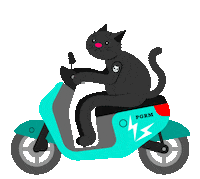 Cat Cartoon Sticker