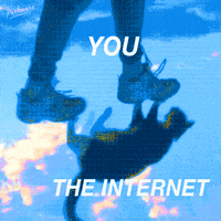 Meme No GIF by PEEKASSO