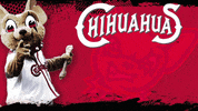 Baseball Tickets GIF by El Paso Chihuahuas