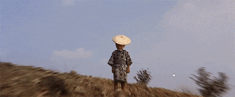 criterion collection sword GIF by FilmStruck