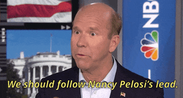 donald trump impeachment nancy pelosi impeach john delaney GIF