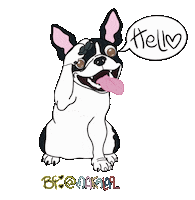 Boston Terrier Dog Sticker by makala9_