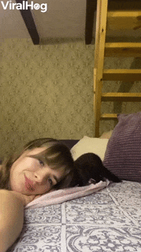 Ferret Grabs Owner By The Nose GIF by ViralHog