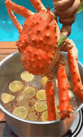 Hungry Lets Eat GIF by AnaCatali