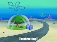 season 7 episode 6 GIF by SpongeBob SquarePants