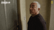 Dogwhisperer GIF by National Geographic Channel