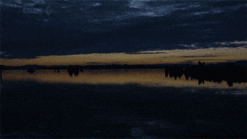 Sun Sunrise GIF