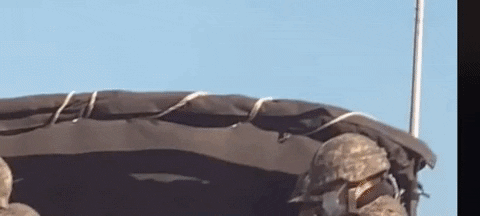 sosososo3989 giphyupload GIF