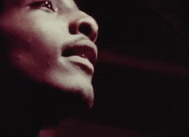 Bob Marley And The Wailers Reggae GIF by Bob Marley