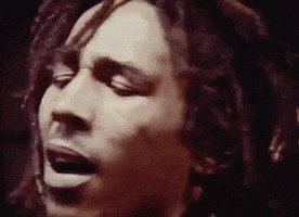 Bob Marley And The Wailers Reggae GIF by Bob Marley