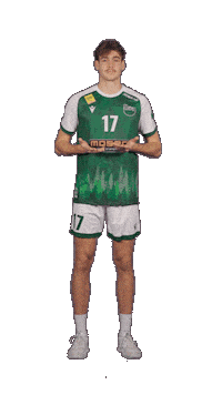 Deutschland Sticker by Volleyball Bundesliga