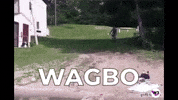 Press Release Crypto GIF by Web3 Newswire