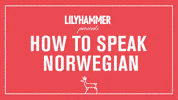 netflix lol GIF by Lilyhammer