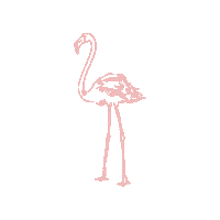 dogoodbeauty flamingo boutique do good beauty dogoodbeauty Sticker