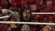 No Way Sport GIF by WWE