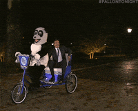 jimmy fallon party GIF by The Tonight Show Starring Jimmy Fallon