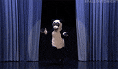 tonight show lol GIF by The Tonight Show Starring Jimmy Fallon