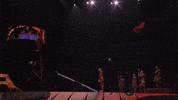 Chair Flipping GIF by Ringling Bros. and Barnum & Bailey
