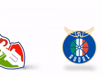 Futbol Colocolo GIF