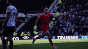 Football Sport GIF by Wycombe Wanderers