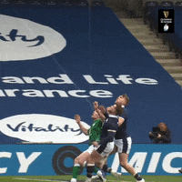 Irish Rugby GIF by Guinness Six Nations