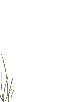 Flower Sticker