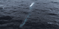 WorldofWarships sub submarine wows world of warships GIF