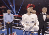 toprank fight fighting espn fighters GIF