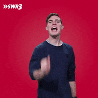 High Five GIF by SWR3