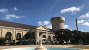 texas am college GIF by Texas A&M University