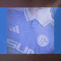 Football Soccer GIF by FC Schalke 04