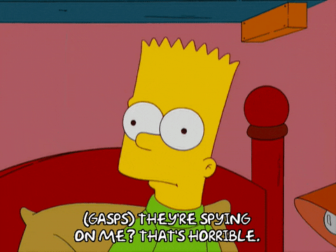 bart simpson omg GIF