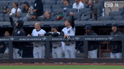 Happy Lets Go GIF by YES Network